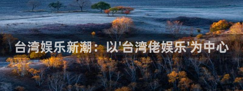 天富平台app最新版：台湾娱乐新潮：以\'台湾佬娱乐\'为中心