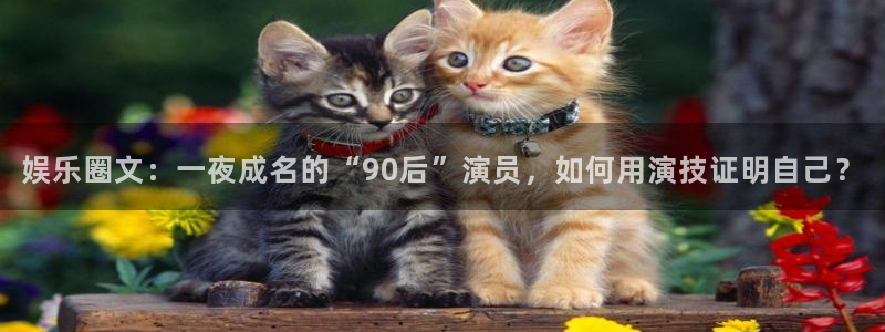 天富平台登录网：娱乐圈文：一夜成名的“90后”演员，如何用演技证明自己？
