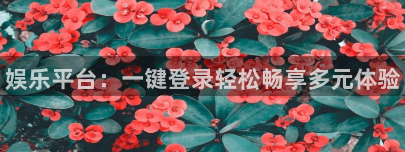 天富平台2平台：娱乐平台：一键登录轻松畅享多元体验