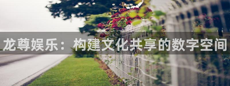 天富平台平台管网入口：龙尊娱乐：构建文化共享的数字空间