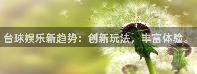 天富平台注册官网入口：台球娱乐新趋势：创新玩法，丰富体验。