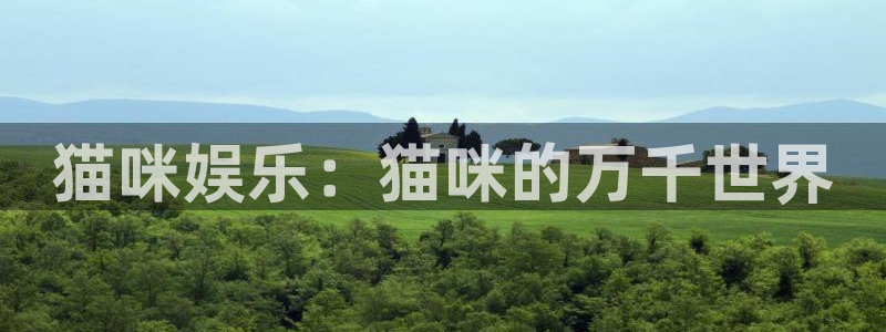 天富平台下载地址：猫咪娱乐：猫咪的万千世界