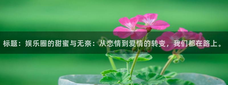 天富平台f凯捷注册：标题：娱乐圈的甜蜜与无奈：从恋情到爱情的转变，我们都在路上。