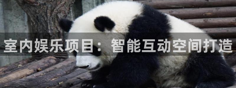 天富平台娱乐：室内娱乐项目：智能互动空间打造