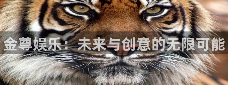 天富平台平台官网入口下载：金尊娱乐：未来与创意的无限可能