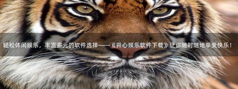 天富平台平台：轻松休闲娱乐，丰富多元的软件选择——《开心娱乐软件下载》让你随时随