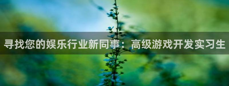 天富平台分红代理计划：寻找您的娱乐行业新同事：高级游戏开发实习生