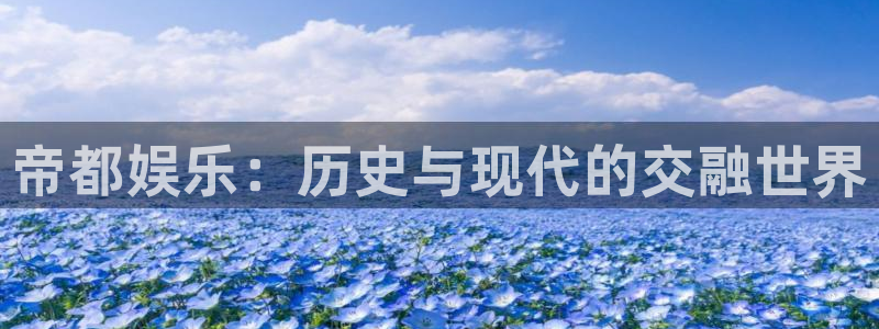 天富平台代理