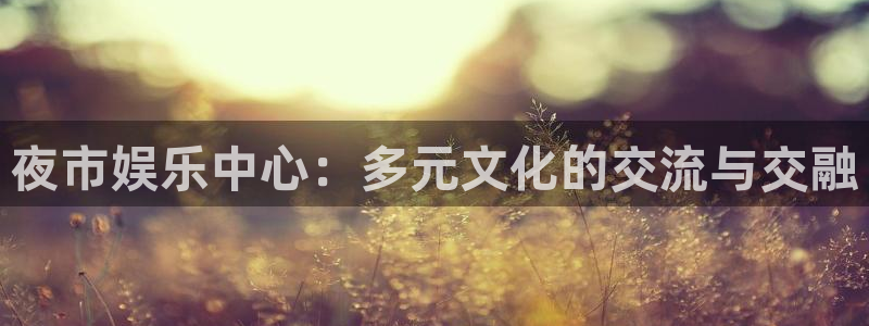 天富平台平台官方入口：夜市娱乐中心：多元文化的交流与交融