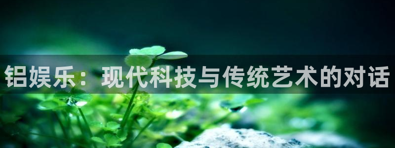 天富平台2注册：铝娱乐：现代科技与传统艺术的对话