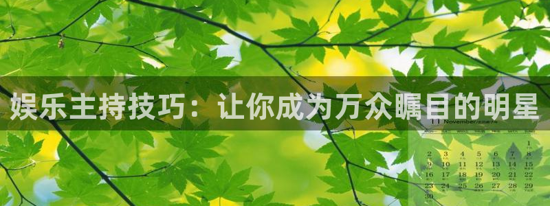 天富平台体育代理：娱乐主持技巧：让你成为万众瞩目的明星