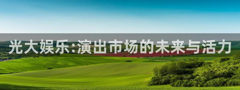 天富平台游戏官网平台：光大娱乐:演出市场的未来与活力