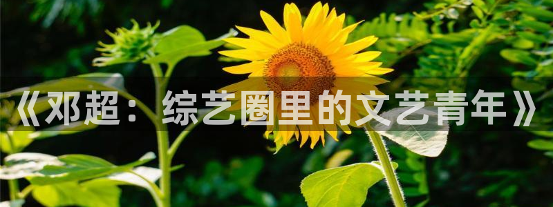 天富平台下载地址：《邓超：综艺圈里的文艺青年》