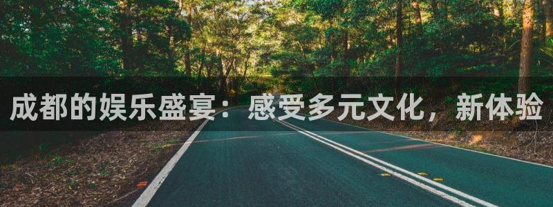 天富平台游戏官网版：成都的娱乐盛宴：感受多元文化，新体验