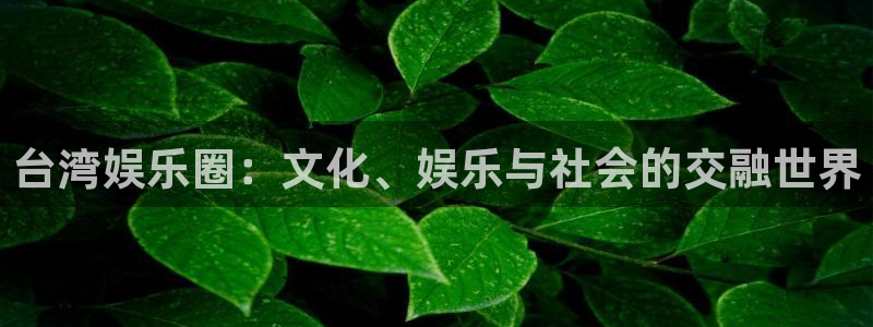 天富平台平台注册账号：台湾娱乐圈：文化、娱乐与社会的交融世界