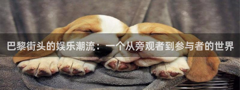 天富平台怎么下载：巴黎街头的娱乐潮流：一个从旁观者到参与者的世界