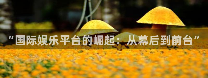 天富平台3登陆：“国际娱乐平台的崛起：从幕后到前台”
