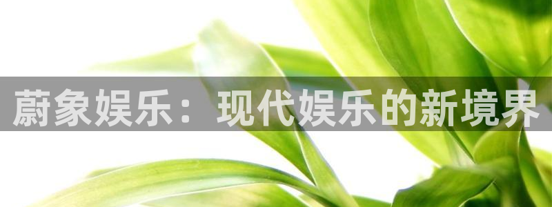 天富平台登录注册：蔚象娱乐：现代娱乐的新境界