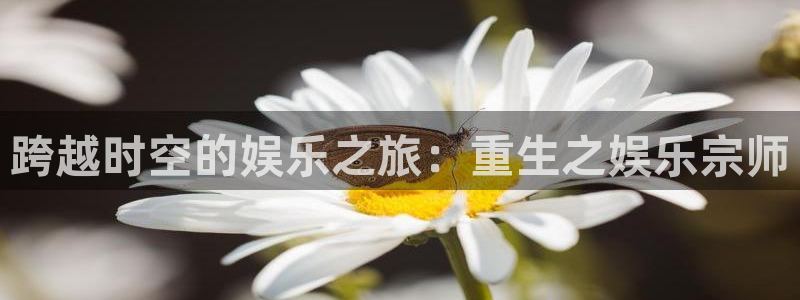 天富平台集团：跨越时空的娱乐之旅：重生之娱乐宗师
