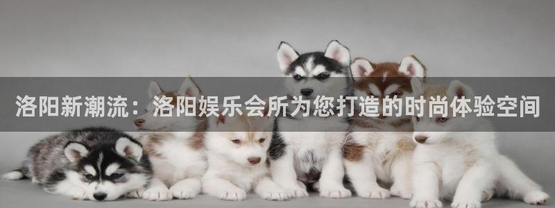 天富平台app下载：洛阳新潮流：洛阳娱乐会所为您打造的时尚体验空间