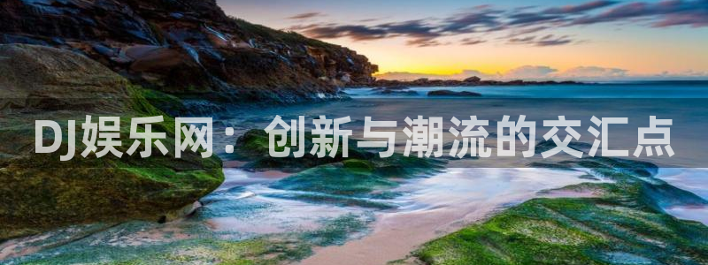 上海天富平台汽车电子有限公司：DJ娱乐网：创新与潮流的交汇点